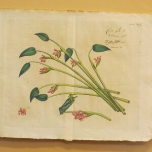 Draakestein - 'Carim-gola' - 1686