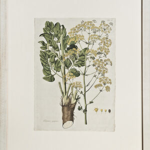 Waldstein - Two Framed Prints - 1802