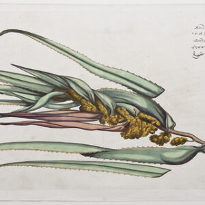 Draakestein - 'Kaida' (F4) - 1686