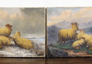 John W. Morris - "Sheep Resting"