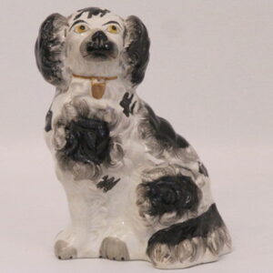 19th Century English Staffordshire black and white Spaniel