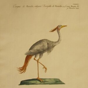 Manetti Birds - 1760