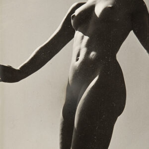 Studio Reiss - 'Seduction'