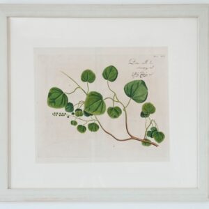 Draakestein - 'Batta-valli' - 1686