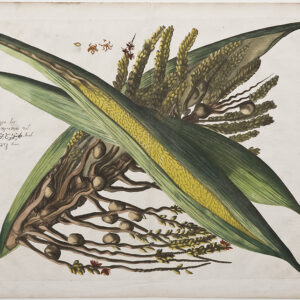 Draakestein - 'Tenga' (F2) - 1686