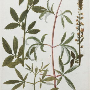 Weinman - A room recently decorated with Weinman (August 2010) - CGW381530-a