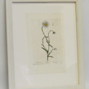 Blackwell - 3 framed prints - 1730 - CGW134474-50