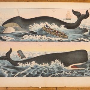 A collection of 19th Century coloured engravings of whaling scenes - CGW134489/8