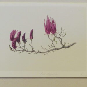 Mali Moir (unframed collection) - 2000