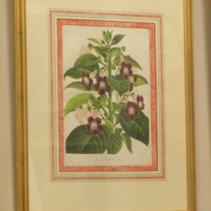 Van Houtte - Three framed prints - CMH501