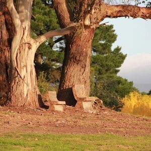 A pair of unusual 20th Century Australian country hand sawn outdoor seats