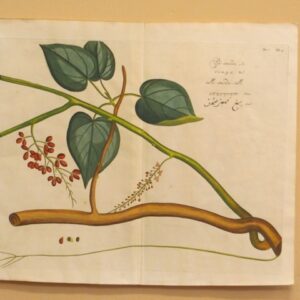 Draakestein - 'Pee-amerdu' - 1686