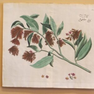 Draakestein - 'Pua-tsjetti' - 1686