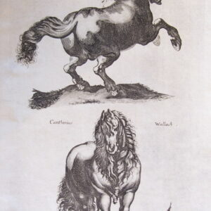 Johnson - Copper Engravings 1695 - CGW134470-23/1-11