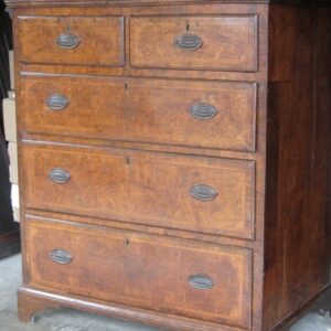 19th Century English pollard and figured oak chest of large proportions - AA1805