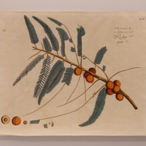 Draakestein - 'Nilicamaram' (F38) - 1686