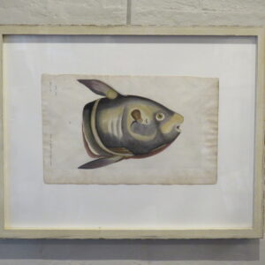 Three Framed Blackwell Engravings 1730