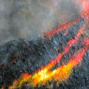 Lydia Ciconte - Wildfire - 2006 - AA0741