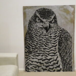 James Christakopoulos - Eagle - Acrylic on Canvas