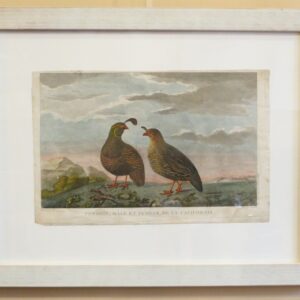 Atlas du Voyage de la Perouse *36