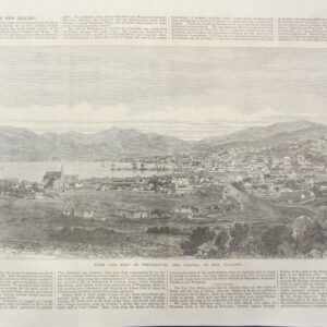 Town and Port of Wellington - 1869
