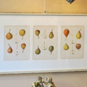 Wolters - 1880 - CGW134464-7