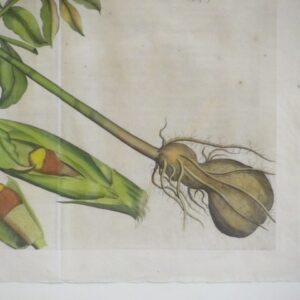 Hendrik Draakestein - 'Sobena' - 1686