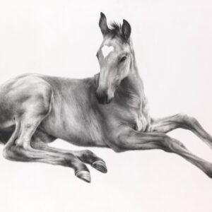 Mali Moir - Horses - 2017