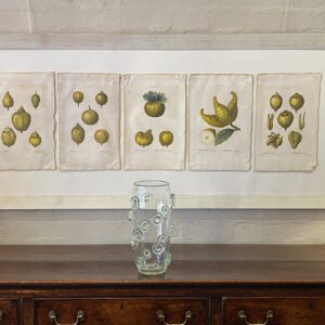Redouté – A decorative framed arrangement of five early 19th Century hand coloured citrus engravings.