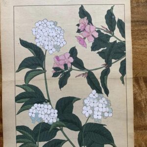 Fifteen 19th century Japanese hand coloured botanical lithographs.