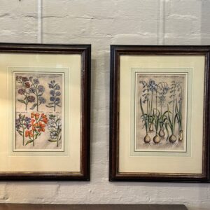 Pair of 17th century botanical engravings by Jan Jansson