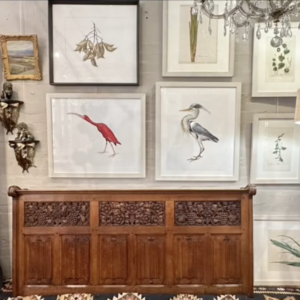 ALLPRESS :: MOIR Birds Revisited