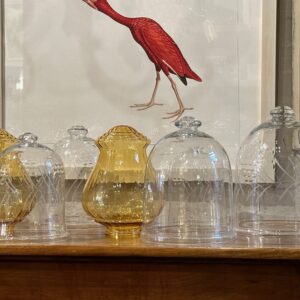 A rare collection of French domed Cloche á Fromage