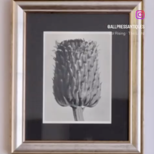 Enjoying some old posts on my website from over a decade ago.