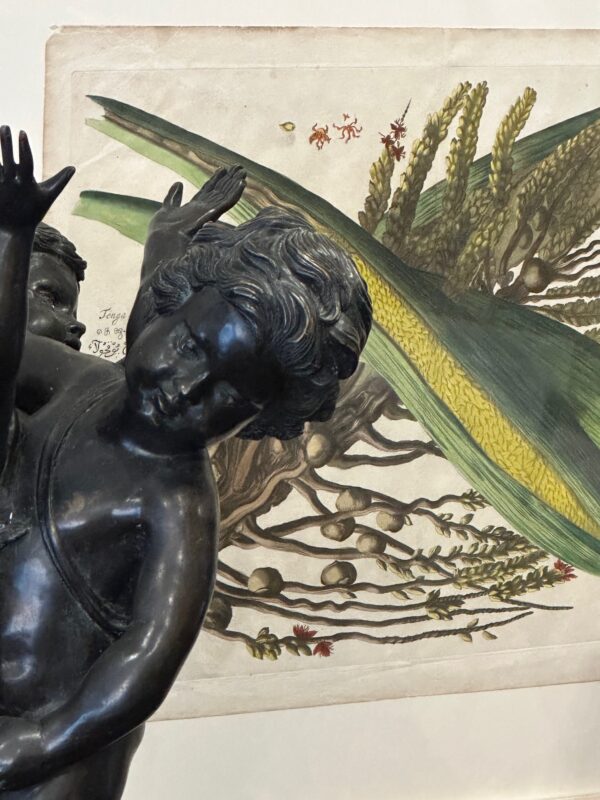 A few snaps of my showroom today while Russell Winnell’s photographing the Caravaggio. - Image 8
