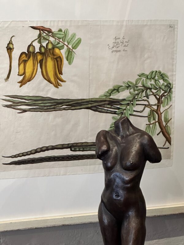 A few snaps of my showroom today while Russell Winnell’s photographing the Caravaggio. - Image 20