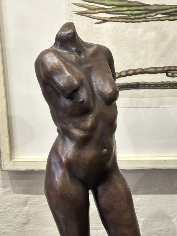 Magnificent bronze sculpture of a female torso “Fabina” 2/25 By Phoebe Parsons 2025 51 cm - Image 3