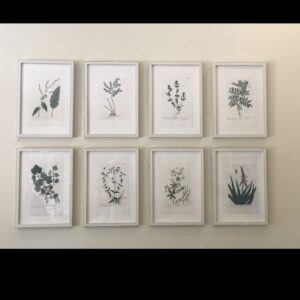 A Recent Sale of Eighteen ‘Elizabeth Blackwells’