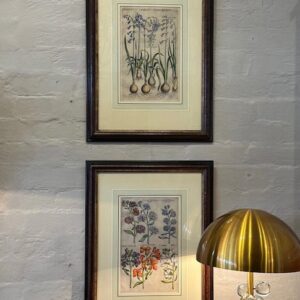 All stock reduced by 60% to clear