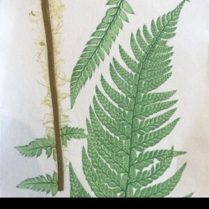 Everything reduced by 60% to clear all…