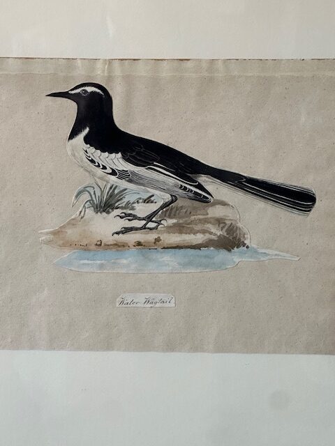 I still have over 100 framed paintings, hand painted copper engravings, botanicals, architectural, natural history in my storeroom - Image 8