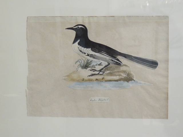 I still have over 100 framed paintings, hand painted copper engravings, botanicals, architectural, natural history in my storeroom - Image 19