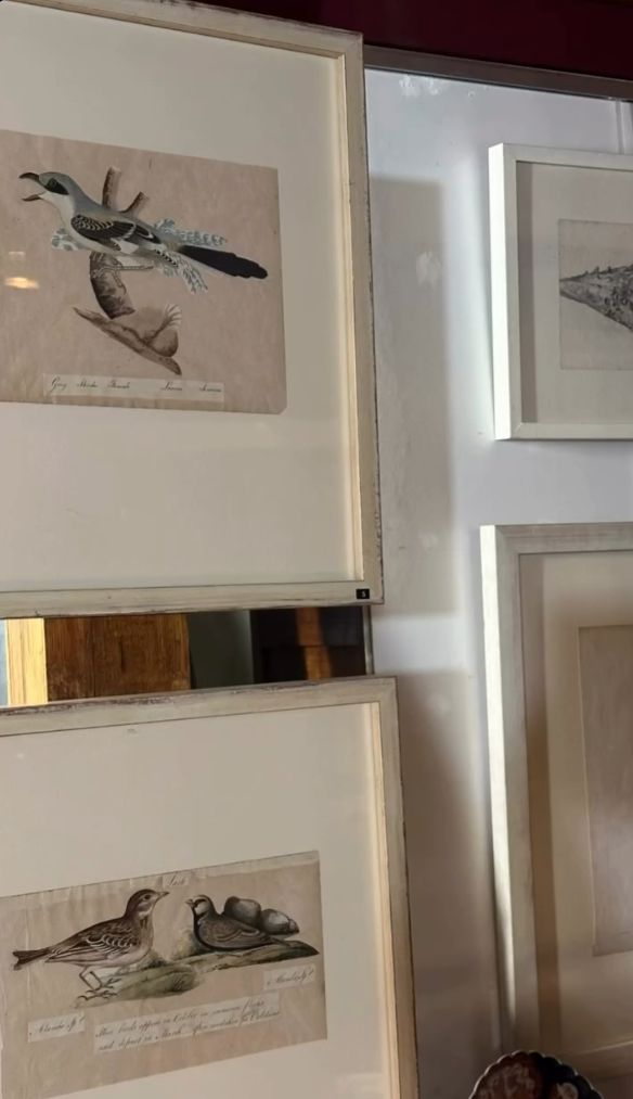 I still have over 100 framed paintings, hand painted copper engravings, botanicals, architectural, natural history in my storeroom - Image 21