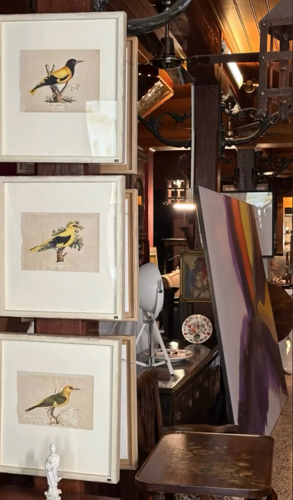 I still have over 100 framed paintings, hand painted copper engravings, botanicals, architectural, natural history in my storeroom - Image 22
