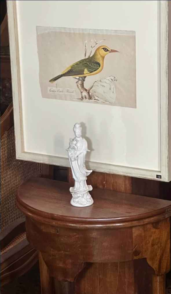 I still have over 100 framed paintings, hand painted copper engravings, botanicals, architectural, natural history in my storeroom - Image 23