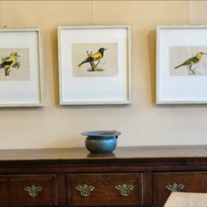 I still have over 100 framed paintings, hand painted copper engravings, botanicals, architectural, natural history in my storeroom